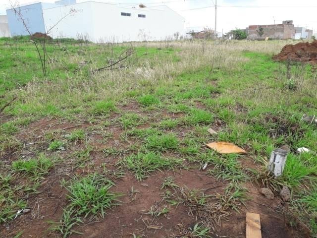 #223 - Área para Venda em Franca - SP - 1