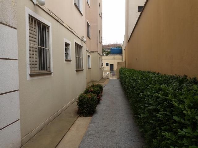 #310 - Apartamento para Venda em Franca - SP - 3