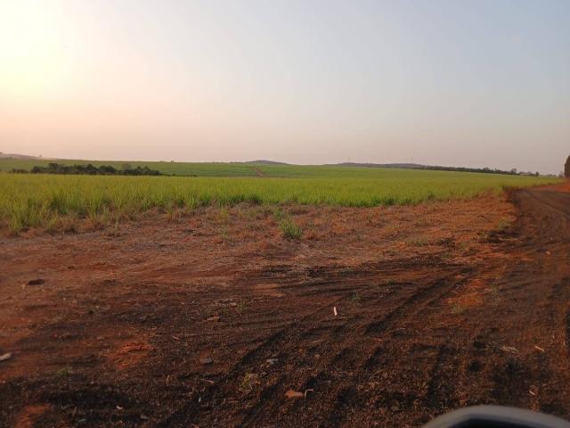 #499 - Chácara para Venda em Campo Florido - MG - 1